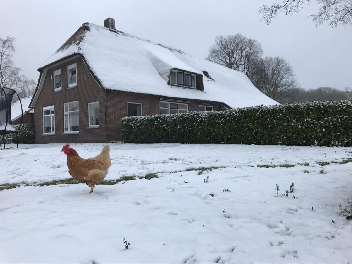 SchoonlooDe Deelderijアパートメント エクステリア 写真